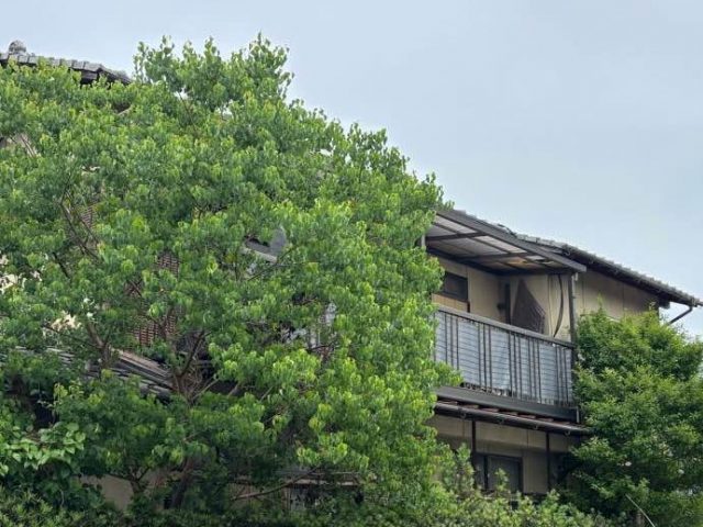 小郡市でボイラー撤去に伴い調査
