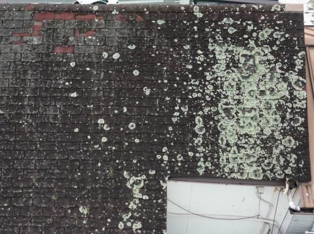 太宰府市の貸店舗の老朽化した屋根