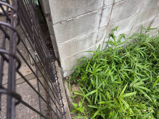 小郡市で土間周囲の割れを調査