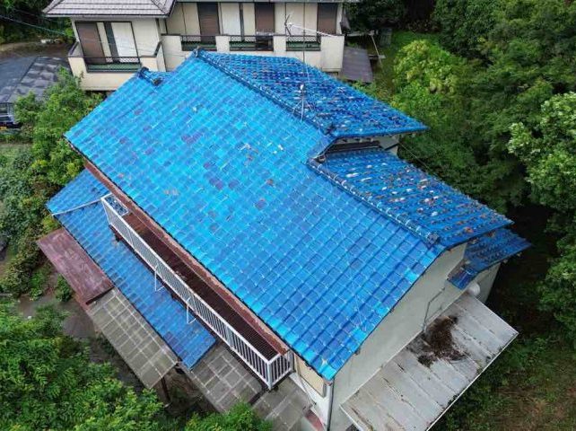 太宰府市の台風被害を調査