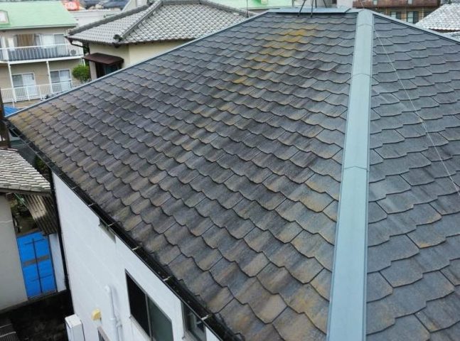 筑紫野市で確認された屋根の苔