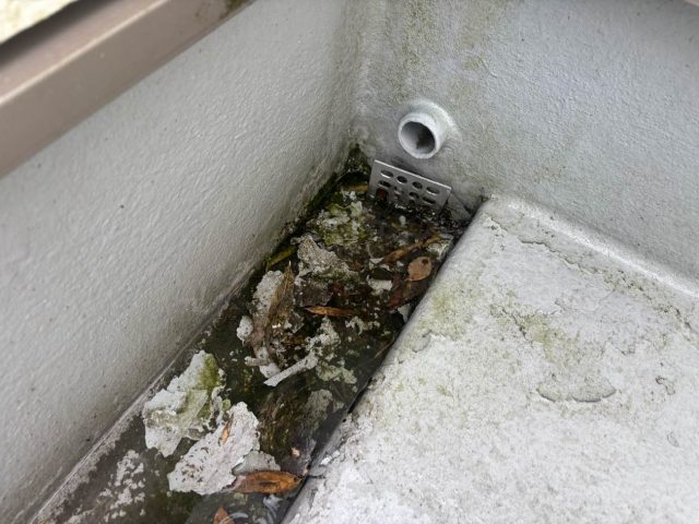 筑紫野市でベランダの苔とゴミ詰まり