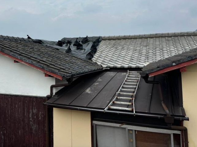 筑紫野市にて確認した雨漏り応急処置