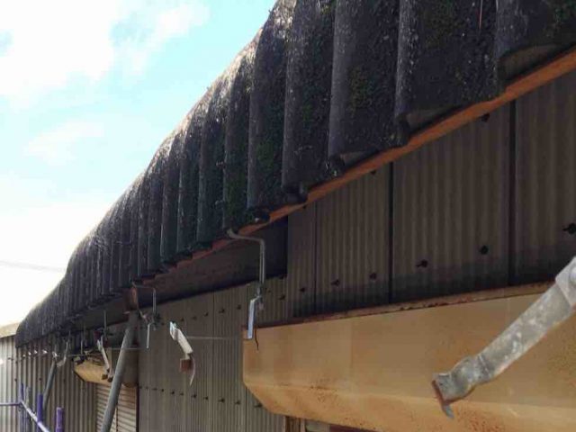 【筑紫野市】工場の雨樋調査で強風による破損を確認｜スレート屋根への影響も点検