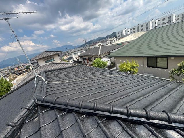 太宰府市で台風被害調査