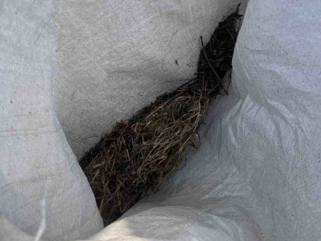 小郡市で確認した鳥の巣被害
