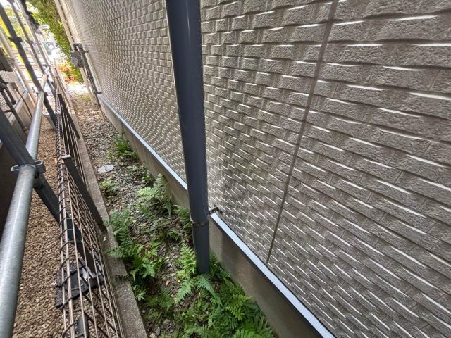 太宰府市の外壁についた苔
