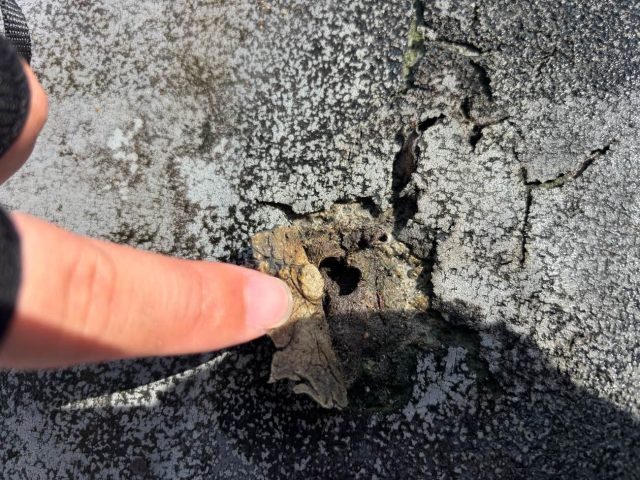 太宰府市で防水層劣化を確認