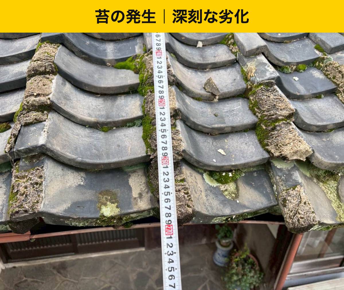 苔や草が目立つ屋根。表面だけをきれいにすればよい？