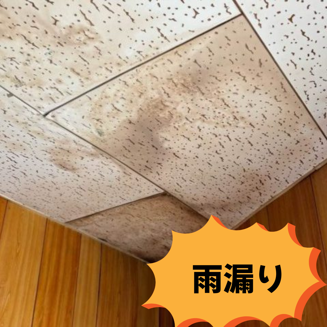 雨漏り