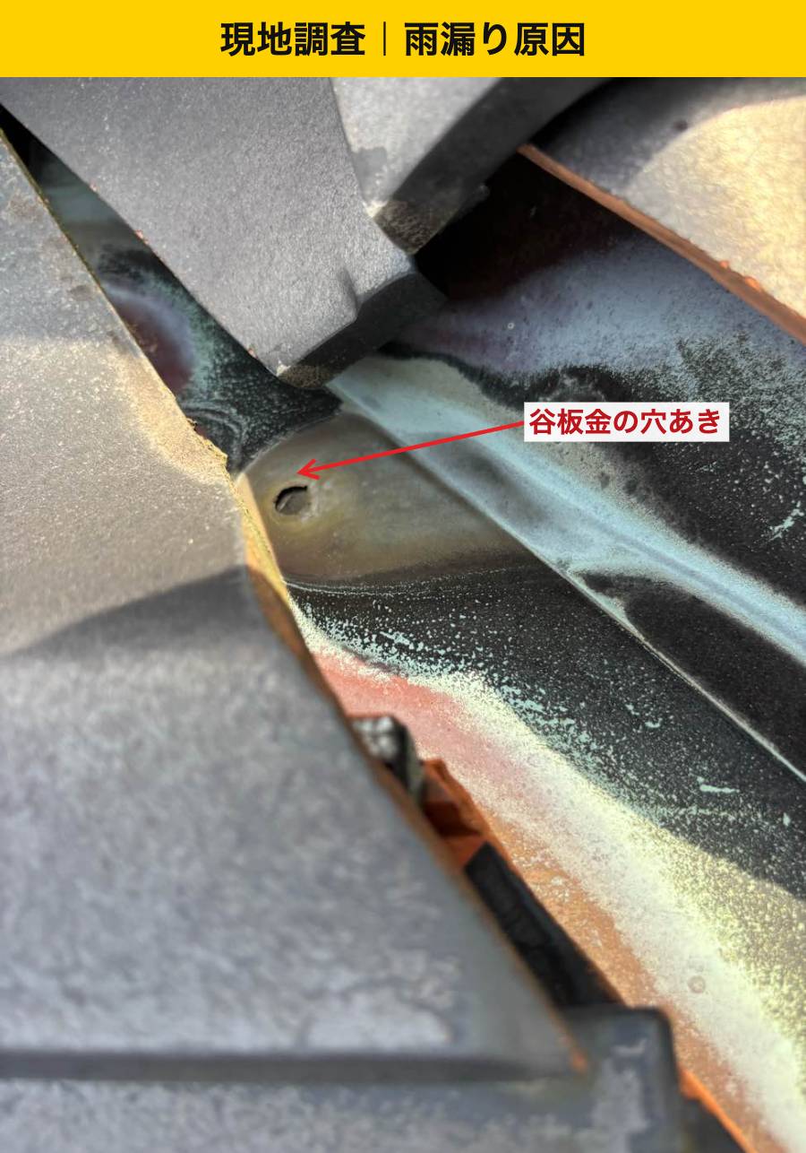 穴あきと瓦のずれ。水の通り道を整える必要がありました