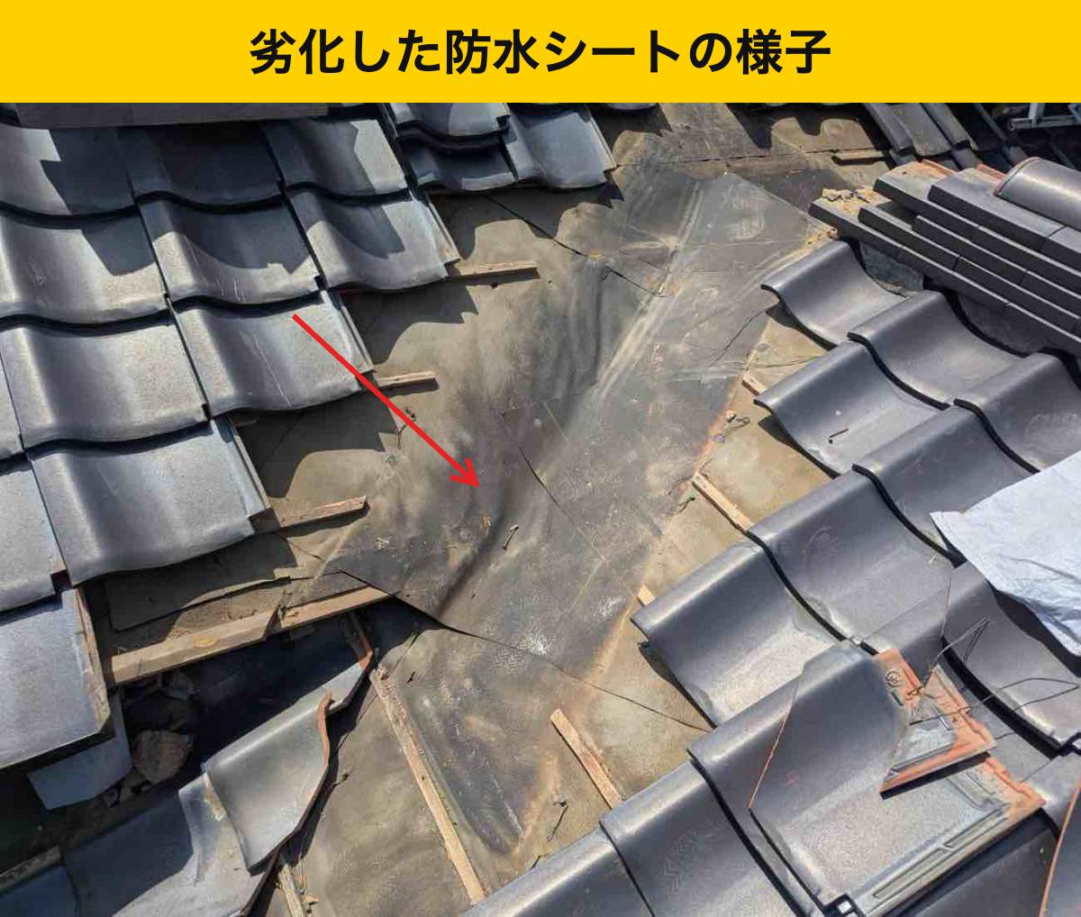 隠れていた防水層と下地を確認する理由