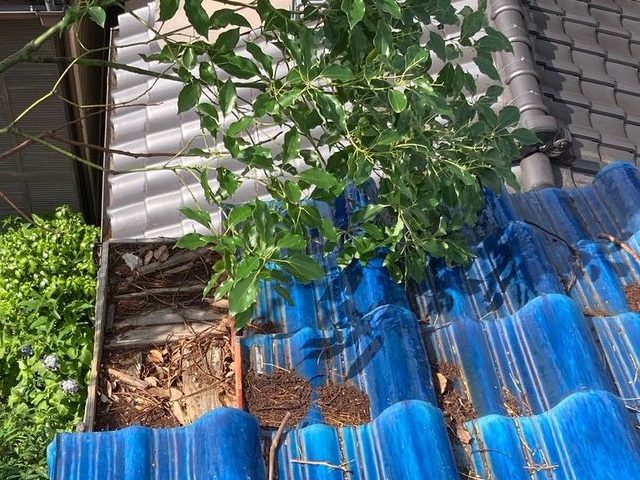 小郡市で瓦屋根の落下を確認