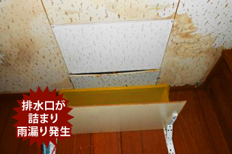 雨漏り
