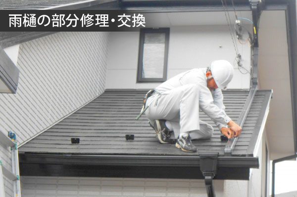 雨樋修理