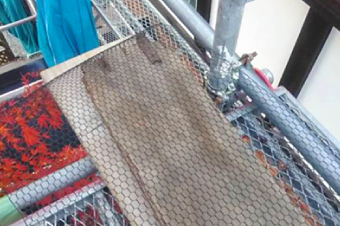 ネット