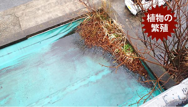 防水層の劣化リスク