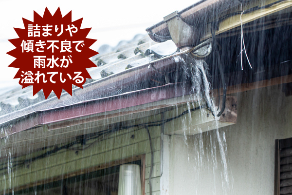 雨樋不具合