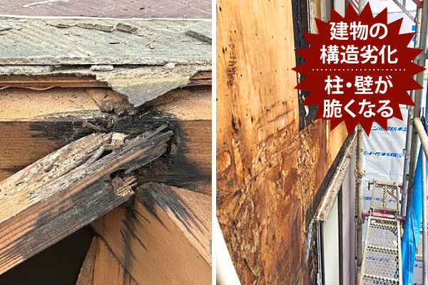 建物の構造劣化、柱・壁が脆くなる