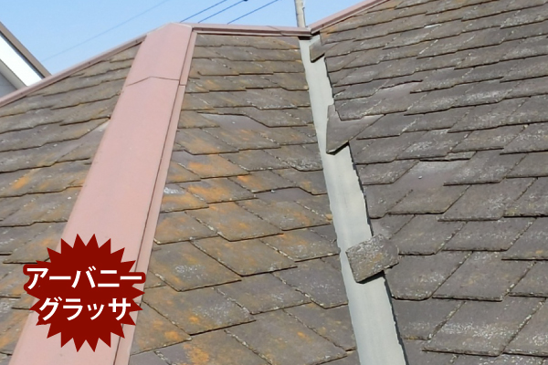 アーバニーグラッサ