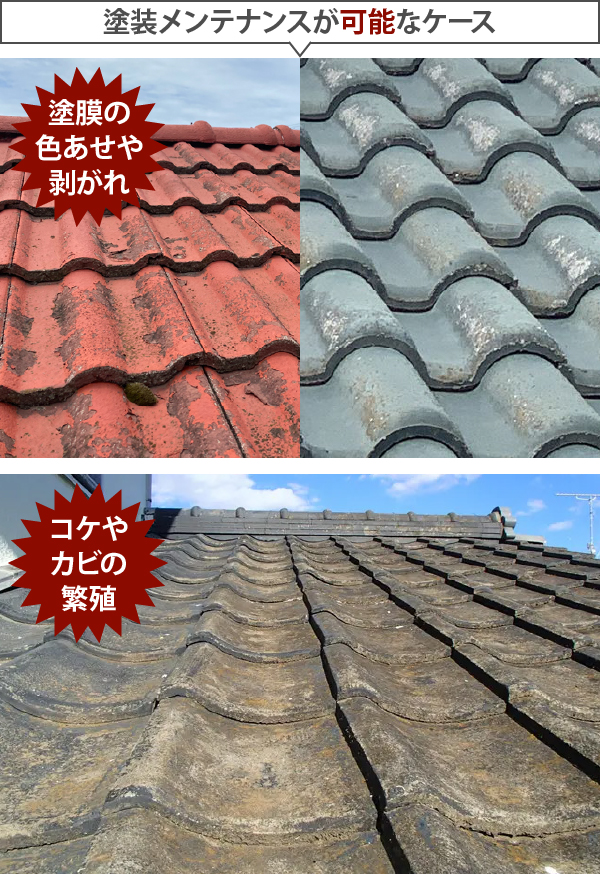 塗膜の色あせや剥がれ、コケやカビの繁殖は塗装メンテナンスが可能