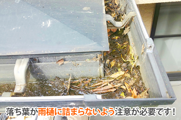 落ち葉が雨樋に詰まらないよう注意が必要です！