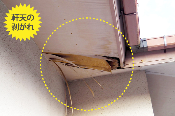 軒天の剥がれ