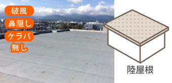 陸屋根は破風、鼻隠し、ケラバがない