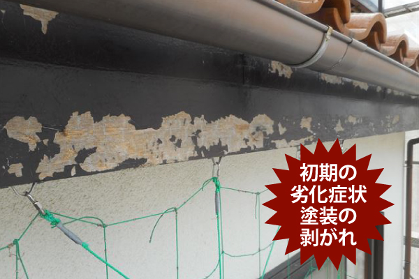 初期の劣化症状塗装の剥がれ