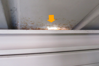 金属屋根が歪んでいるのか、中から見ると光が差し込んでいます